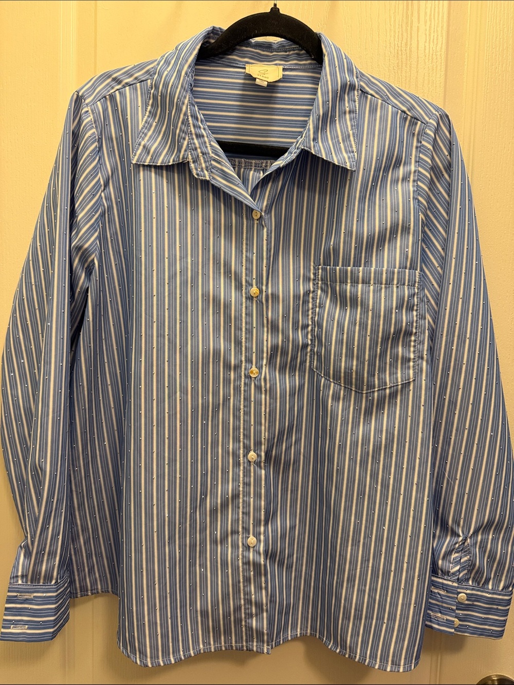 Classic Blue Striped Women’s Button-Up Shirt